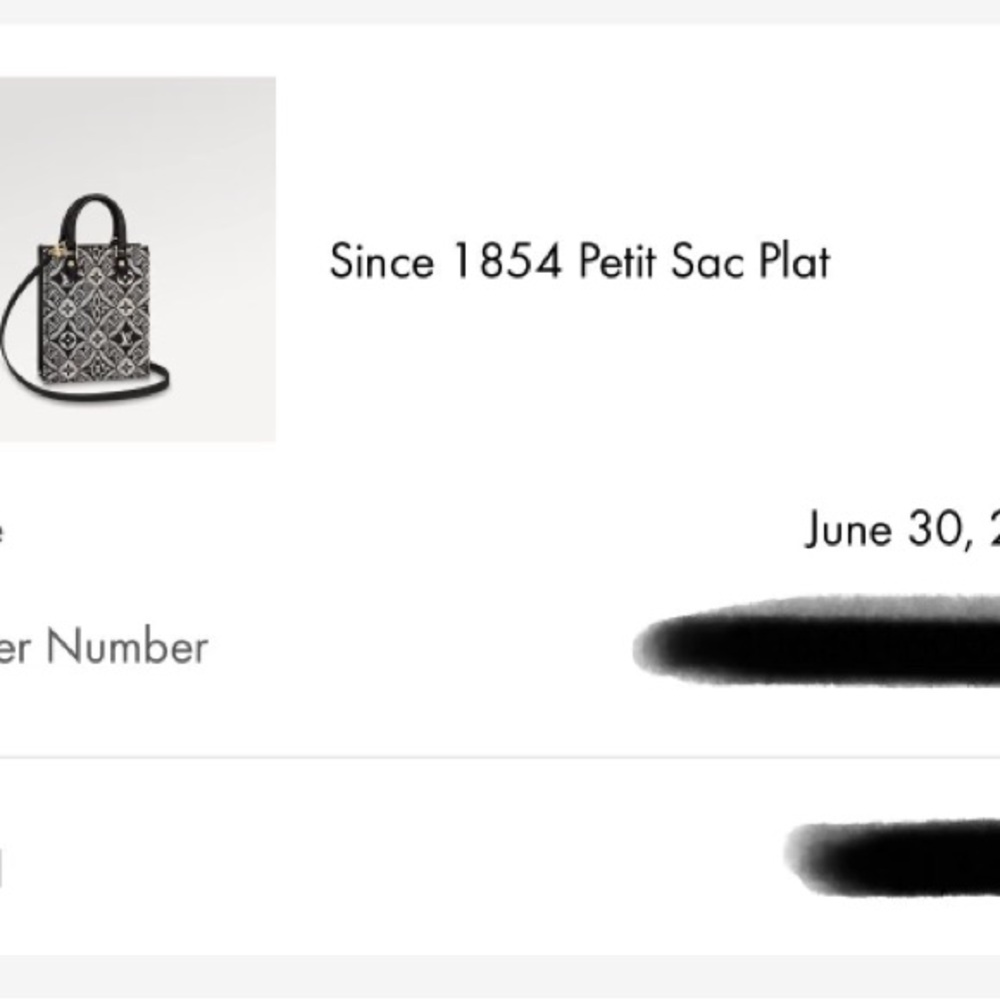 SOLD! Louis Vuitton since 1854 Sac Plat - Picture 6 of 6